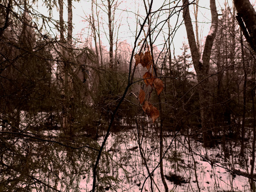 IMG 20221110 8.jpg