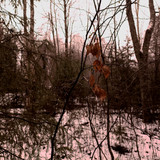 IMG 20221110 8