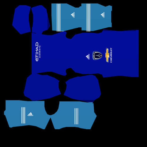 Shirt DLS 19.png.jpg