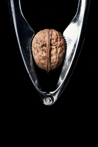 highly detailed photo shot studio walnut inside metal nutcracker black background high contrast ligh.jpg