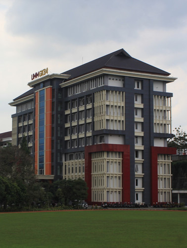 IMG 2400 cropped.jpg