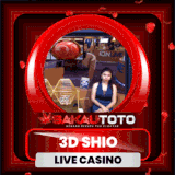 3D SHIO.gif
