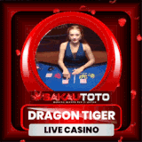DRAGON TIGER.gif