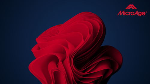 Untitled.png