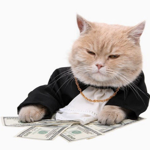 GangsterCat.jpg