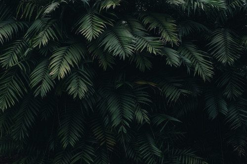 background.jpg
