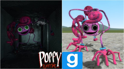 IMA 1.jpg
