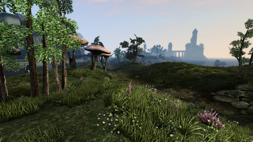 Morrowind 2023 01 27 17.28.30.392.png