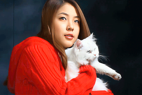 random (11).gif
