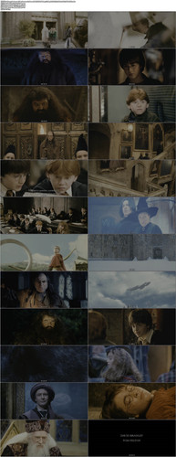 1.Harry.Potter.and.the.Sorcerer's.Stone.2001.UHD.BluRay.2160p.DTS X.7.1.HDR.x265.10bit CHD.mkv.jpg