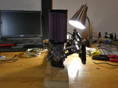 P1000084.jpg
