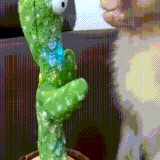 obez1.gif