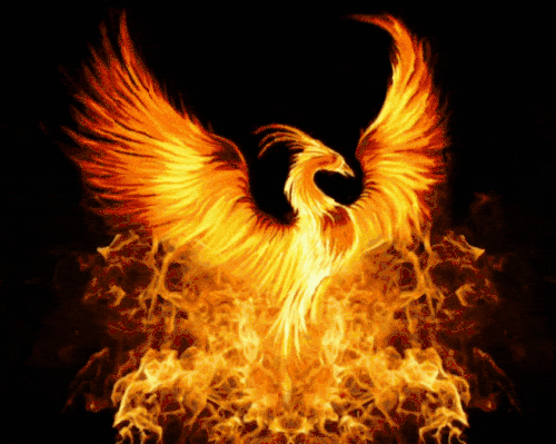 Phoenix.gif