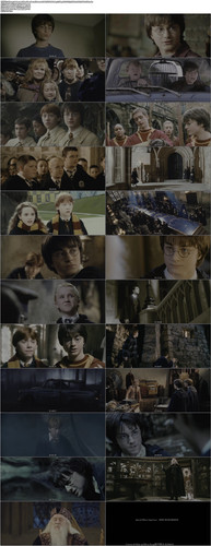 2.Harry.Potter.and.the.Chamber.of.Secrets.2002.UHD.BluRay.2160p.DTS X.7.1.HDR.x265.10bit CHD.mkv.jpg