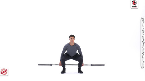 Barbell hack squat M.jpg