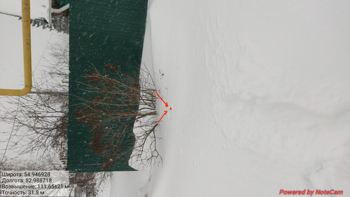 IMG 20230128 163347.jpg