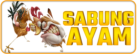 sabung ayam.png