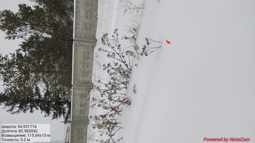 IMG 20230128 161736.jpg