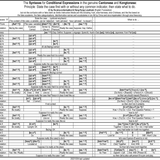 HongKonglish Project The Principle of coniditonal expressions in Cantonese &amp; Kongtonese +