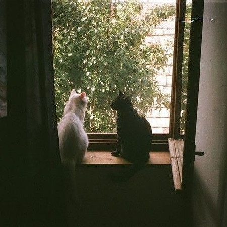 scaled image picker8424757939192322187.jpg