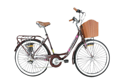 Raleigh Smile(Brown).jpg
