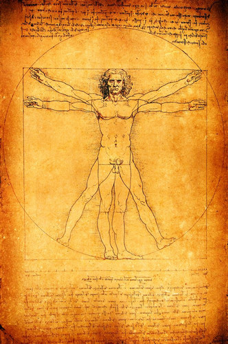 LeonardoDaVinci HumanProportions.jpg