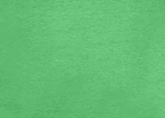 Light Green.png