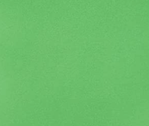 Lime Green.png