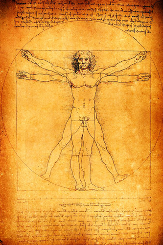 LeonardoDaVinci HumanProportions.png