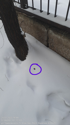 25012023 144450.jpg