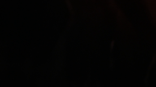 1a9949c70080.png