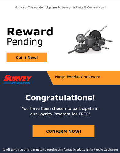 Screenshot 2023 01 29 at 12 02 11 Ninja Foodie Cookware.png