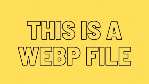 webp example.webp