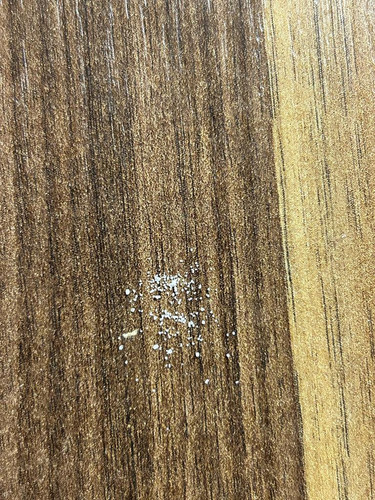 WhatsApp Image 2023 01 31 at 19.56.21.jpg