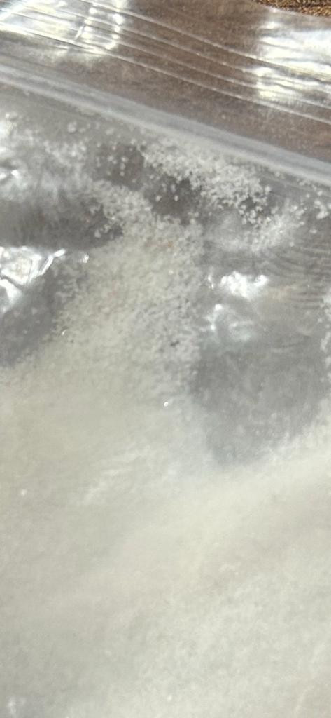 WhatsApp Image 2023 01 31 at 20.19.00.jpg