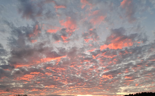 20220808 204232~2.jpg