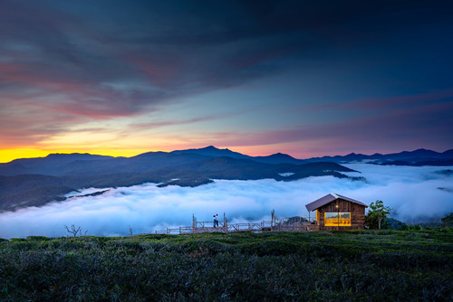 pexels quang nguyen vinh 2131772.jpg