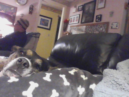 IMG 20230131 173757.jpg