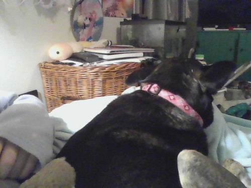 IMG 20230201 195819.jpg