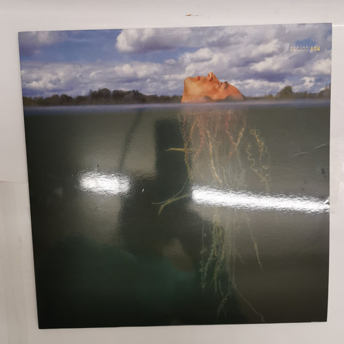 IMG 20230201 122119.jpg