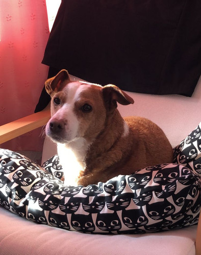 WhatsApp Image 2023 02 02 at 12.27.19 PM(1).jpg