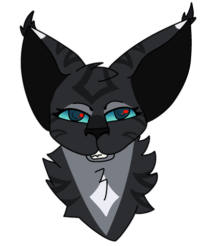 D76E4467 D896 4DE3 BEC4 07B658A45CE1.png