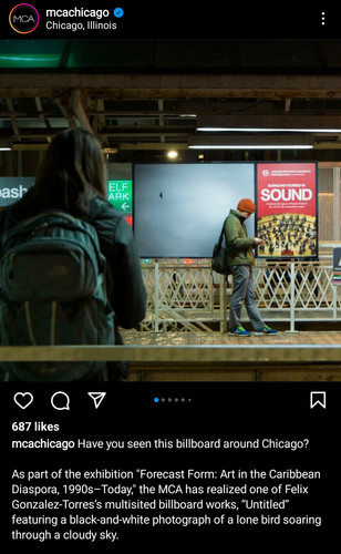 1675046048894.jpg