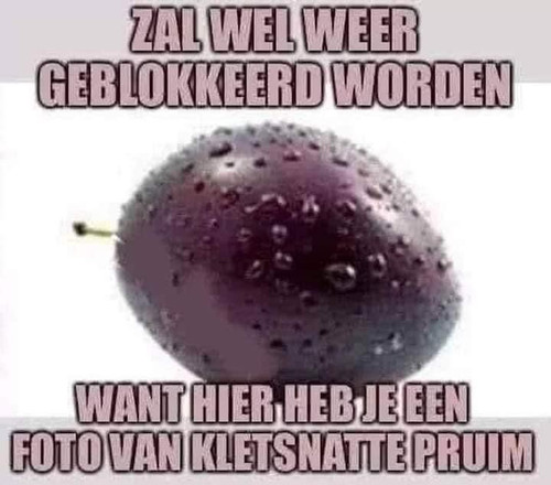 D6911F62 72BA 421C BDFB 162ACCD3D024.jpg