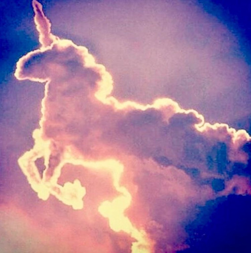 74BD8BB5 E0C1 4B6F 982B 9DA29507C2E6.jpg