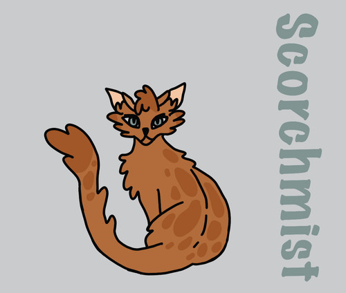 4A62D057 3893 4B11 928E F06796413833.jpg