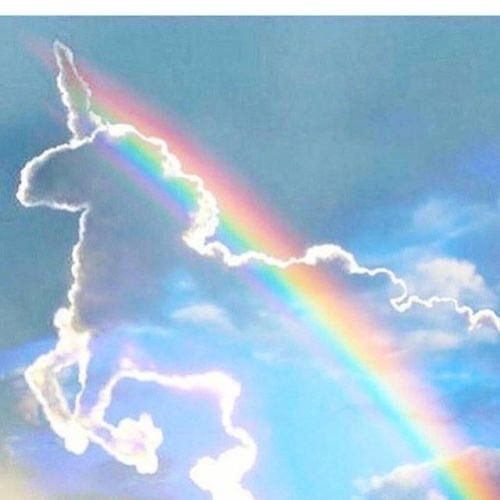 4B146721 17C6 4DC6 BC2A 5E2AF5856998.jpg