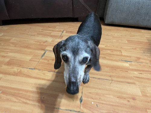 2169D099 0D37 4FE3 9844 D7E030AB6E1D.jpg