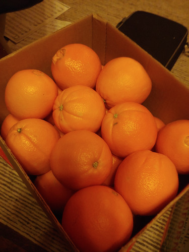 IMG 20191216 191615 01.jpg