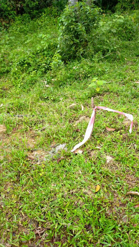 WhatsApp Image 2023 02 05 at 09.23.39.jpg